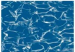 Surface pool (5,5x3,7m, depth=1,20m) swirl